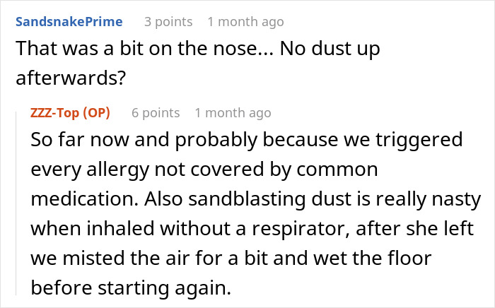 Reddit comments discussing wearing masks and triggering allergies due to sandblasting dust.