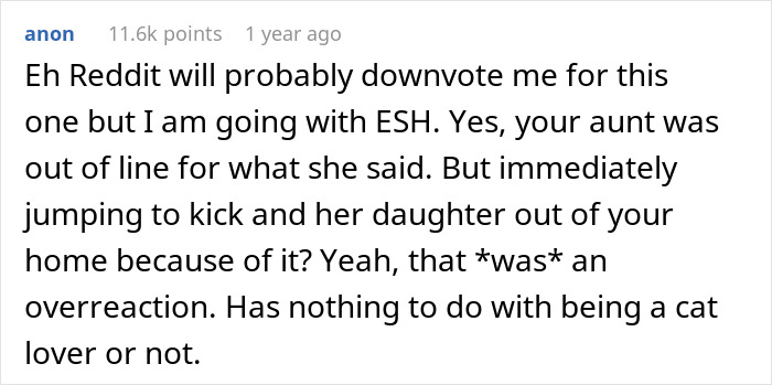 Reddit comment discussing conflict between new mom and aunt-in-law over baby and cat priorities.