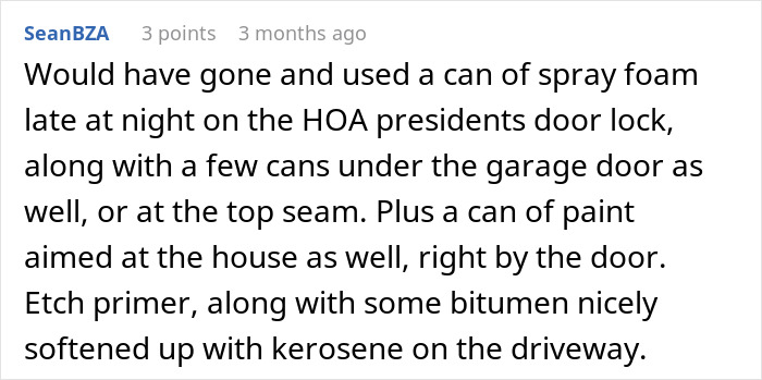 Text discussing a homeowner's frustration with HOA's alleged fake violations.