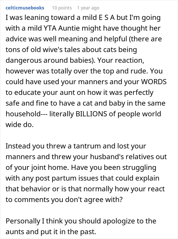 Reddit comment discussing a new mom’s reaction to aunt-in-law’s advice about focusing on baby over cat.