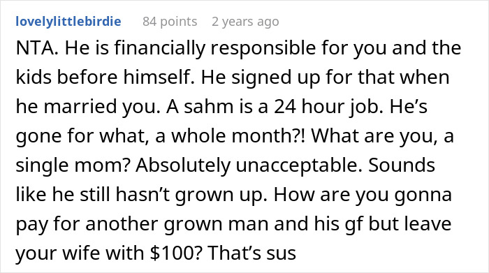 Reddit comment criticizing a husband for leaving his wife with $100 while he vacations overseas.