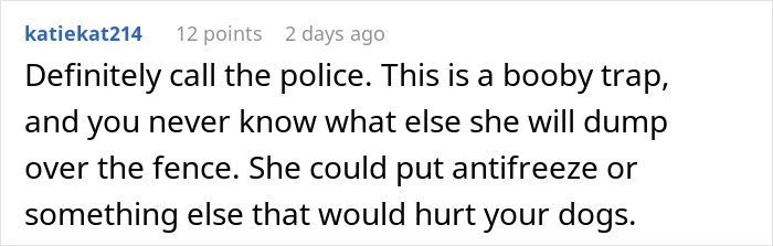 Text comment on a forum discussing neighbor's hazardous actions with water in freezing temperatures.