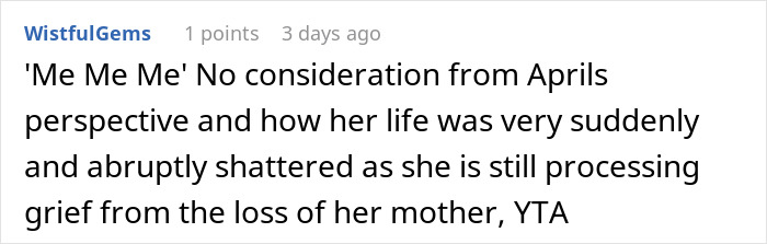 Reddit comment discussing stepdaughter's feelings and grief towards family changes.