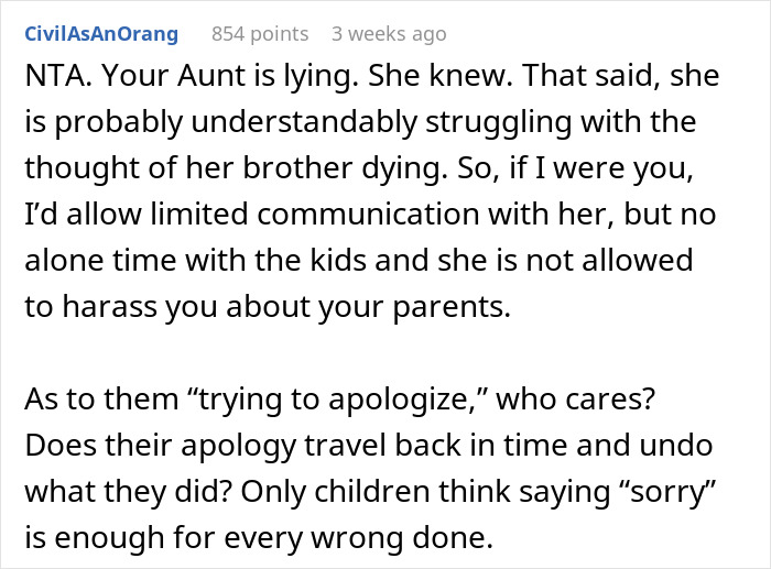 Reddit comment discussing family drama about nephews' visits to grandparents.