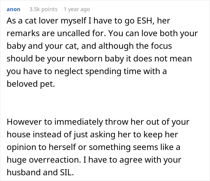 Text post discussing a new mom balancing time between her baby and a cat, criticizing an aunt's comments.