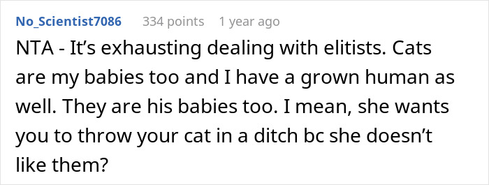 Hubby’s Aunt Slams Mom For Having Cat Around Baby, She Kicks Her Out And Internet Isn’t Sympathetic