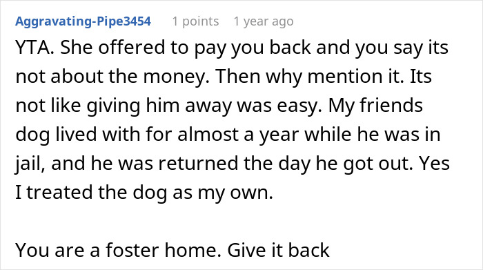 Comment discussing rehoming a pet, suggesting the original owner should get the cat back if requested.