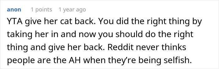 Reddit comment discussing rehomed cat and owner's request to get it back.