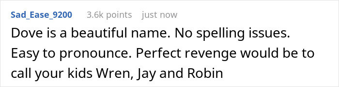 Comment about the name "Dove," suggesting names for kids like Wren, Jay, and Robin.