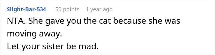 Reddit comment discussing a woman rehoming her cat and facing challenges when wanting it back.