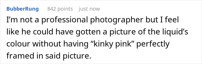 Text comment on photo critique, mentioning "kinky pink" in framing.