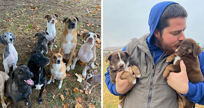 Meet The Couple Who Opened Their Home To 12 Stray Dogs