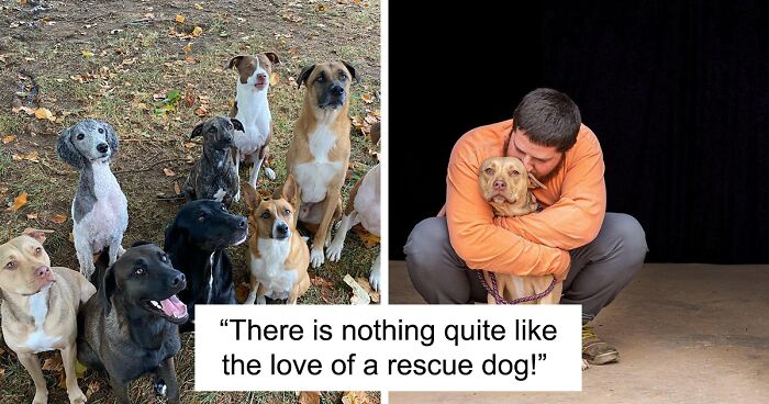 Rescuing 12 Dogs And Counting: This Couple Is Changing Lives One Rescue At A Time