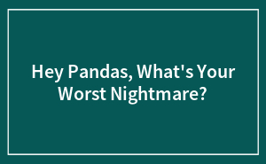 Hey Pandas, What’s Your Worst Nightmare? (Closed)