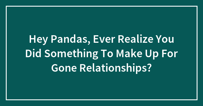 Hey Pandas, Ever Realize You Did Something To Make Up For Gone Relationships? (Closed)