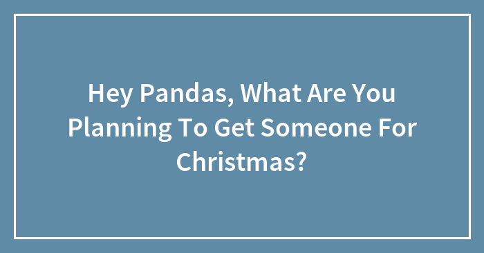 Hey Pandas, What Are You Planning To Get Someone For Christmas? (Closed)