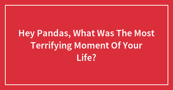 Hey Pandas, What Was The Most Terrifying Moment Of Your Life?