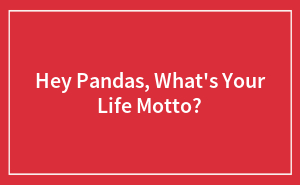 Hey Pandas, What’s Your Life Motto?