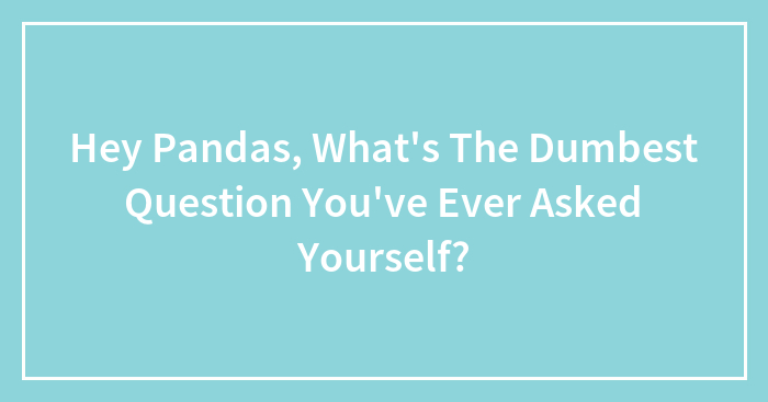 Hey Pandas, What’s The Dumbest Question You’ve Ever Asked Yourself?