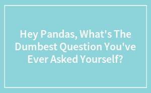 Hey Pandas, What’s The Dumbest Question You’ve Ever Asked Yourself?