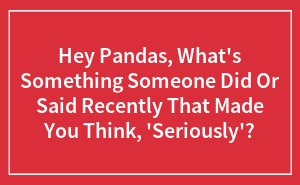 Hey Pandas, What's Something Someone Did Or Said Recently That Made You Think, 'Seriously'?