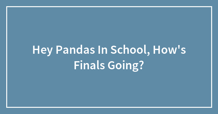 Hey Pandas In School, How’s Finals Going?