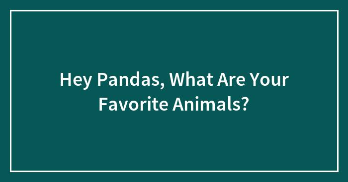 Hey Pandas, What Are Your Favorite Animals?