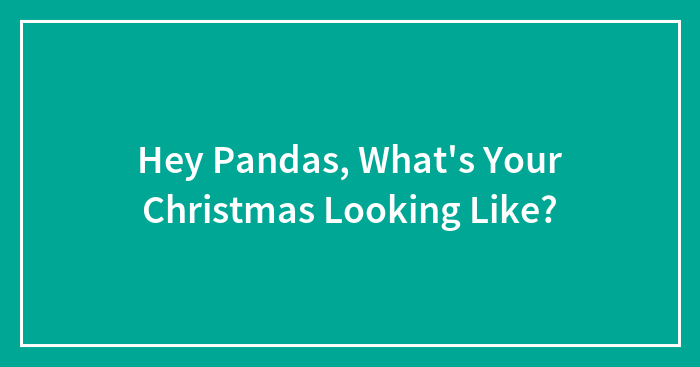 Hey Pandas, What’s Your Christmas Looking Like?