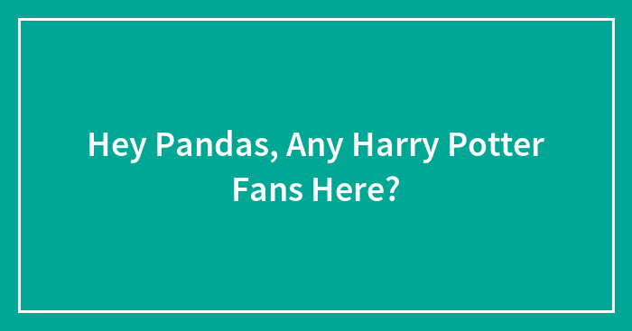 Hey Pandas, Any Harry Potter Fans Here?