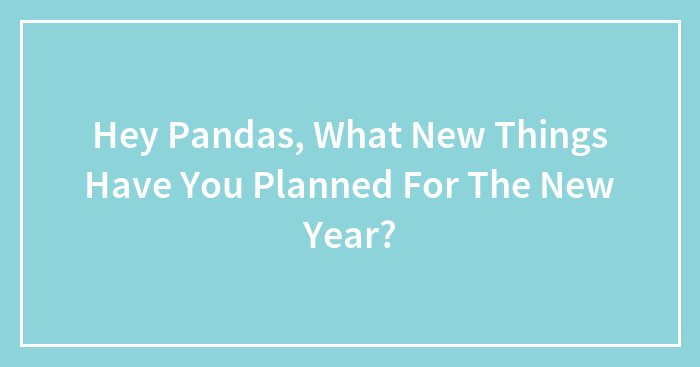 Hey Pandas, What New Things Have You Planned For The New Year?