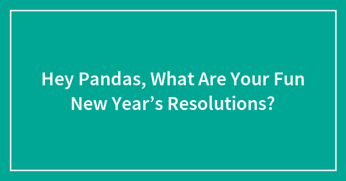 Hey Pandas, What Are Your Fun New Year’s Resolutions?