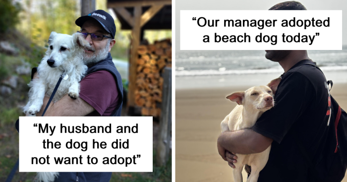 50 Proud Pet Owners Share The Delightful Pets They Adopted In November