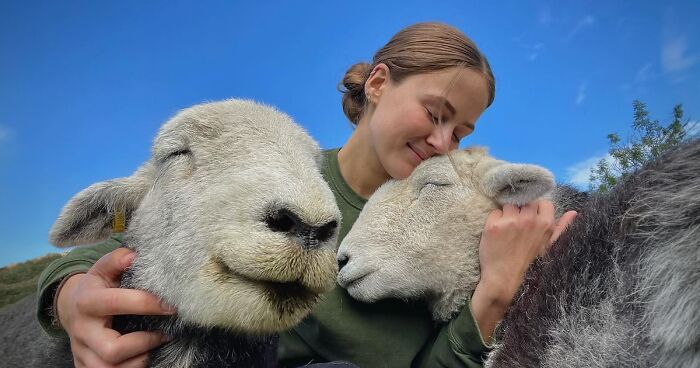 This Woman Shares A Very Different Side To Sheep That A Lot Of People Never Get To See