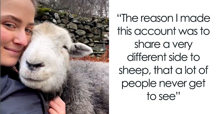 Woman Shares Her Special Bond With Sheep In Order To Change People’s Perception Of Farm Animals