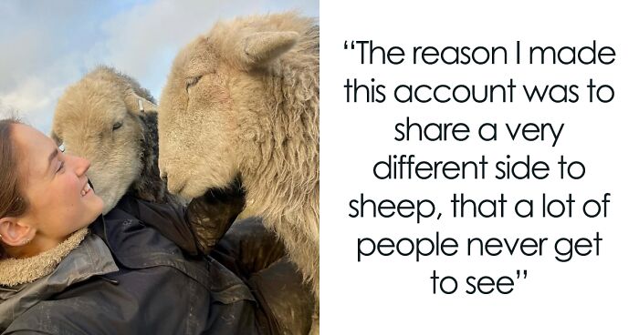 Woman Who Is Dreaming Of Peace For All Animals Creates A True Paradise For Her 3 Sheep