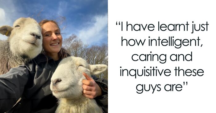 This Woman Shares A Very Different Side To Sheep That A Lot Of People Never Get To See