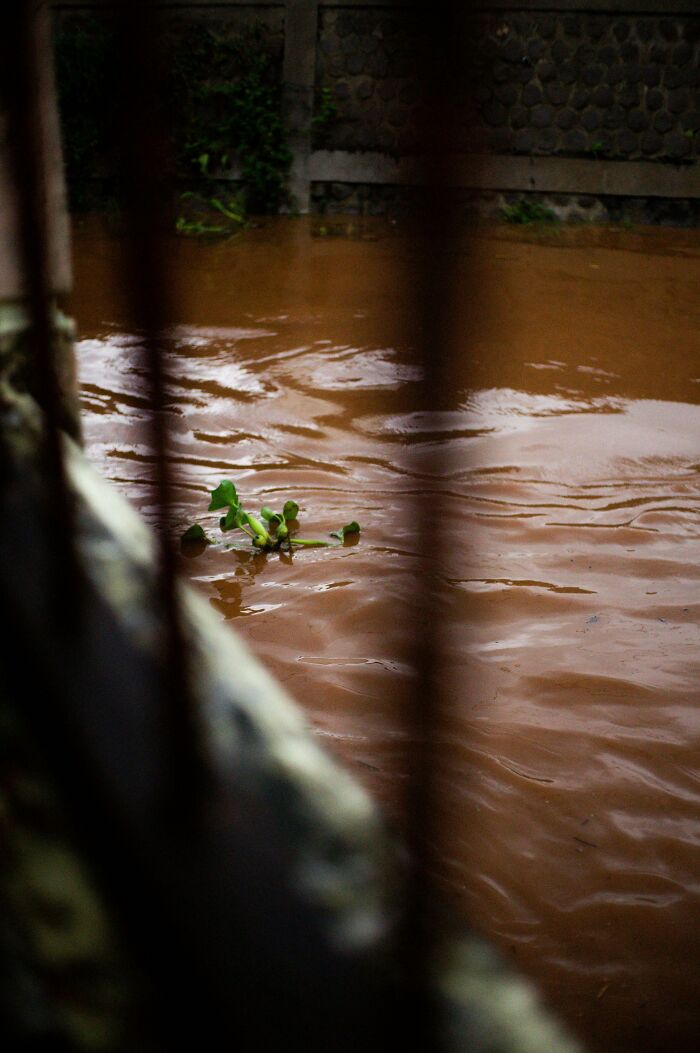 Floodwaters rise against a stone wall, illustrating an incredibly lucky survival story against all odds.