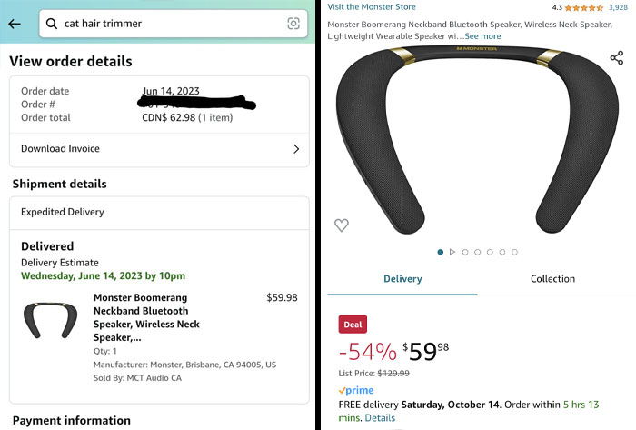 Online order with deceptive-marketing-techniques showing a neckband speaker with price discount and delivery details.