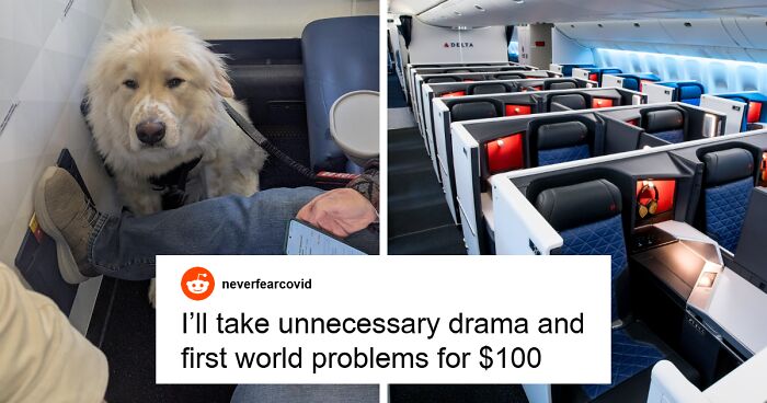 Passenger's First-Class Delta Flight Ruined When He’s Forced To Give Up Seat For Canine