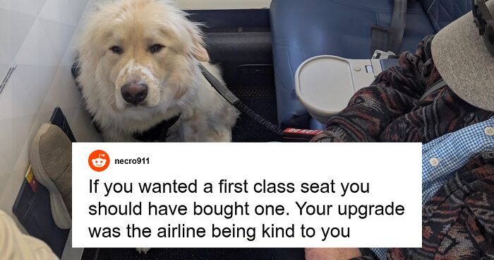 Delta Passenger Loses First-Class Seat To Accommodate Service Dog, Sparking Heated Online Debate