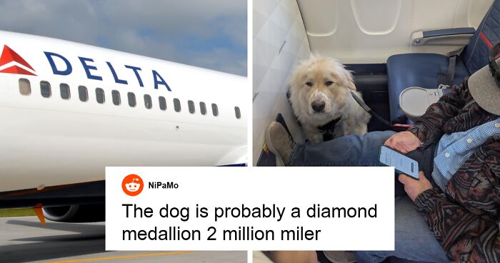 Discussion About Service Animals On Planes Erupts After Guy Loses His First Class Seat To Pooch