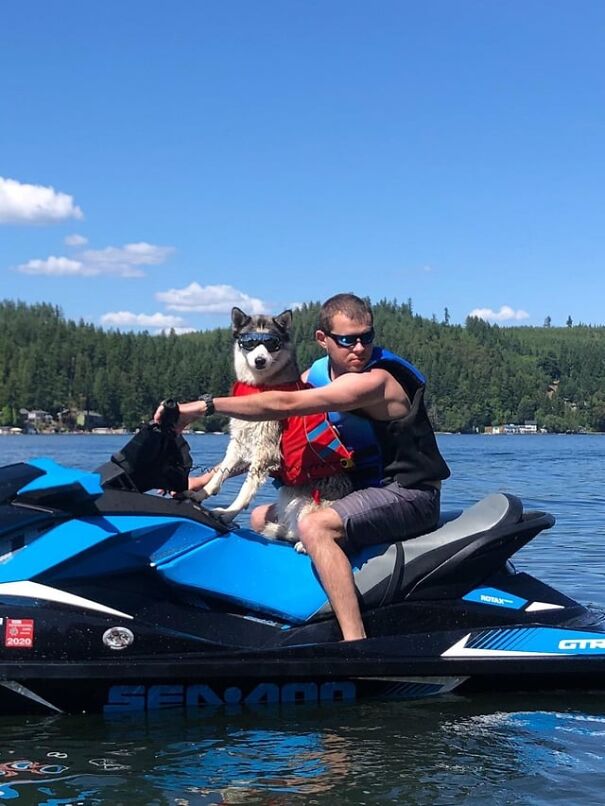 Dog wearing goggles on a jet ski with a man, enjoying a sunny day on the lake.