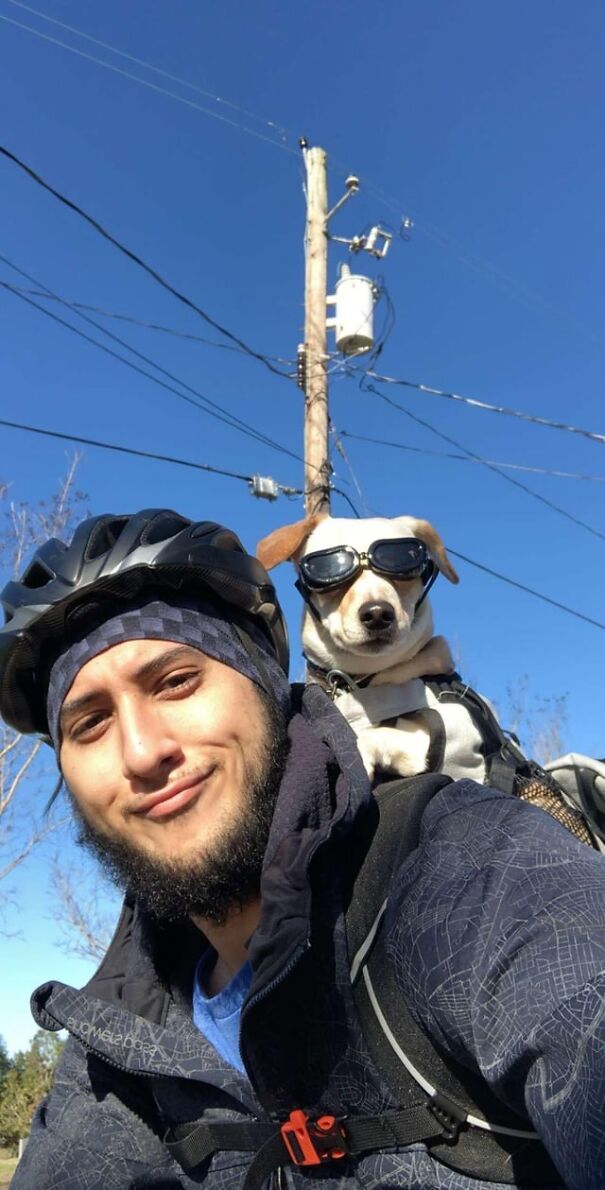 Man biking with a dog wearing goggles on his back, enjoying sunny weather.