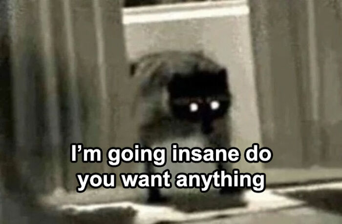 Relatable mental health meme with a raccoon in dim light, captioned "I'm going insane do you want anything."