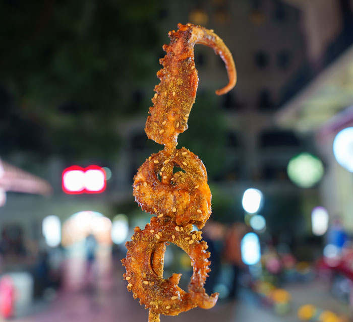 Grilled octopus on a skewer, a potential cringeworthy situation for travelers trying unusual street food.