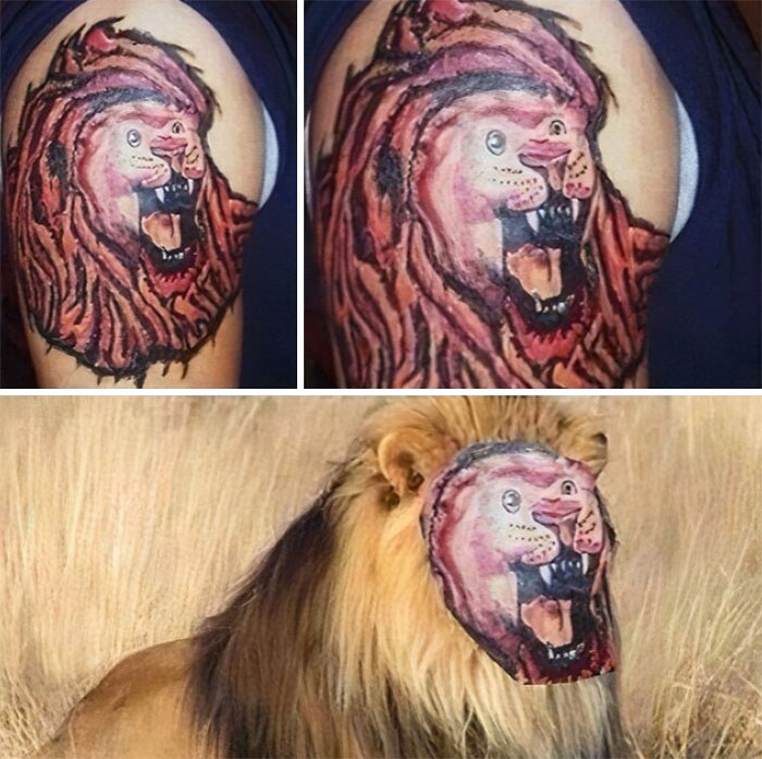 Epic tattoo fail with a distorted lion face tattooed on an arm, humorously overlaid on a real lion's face.