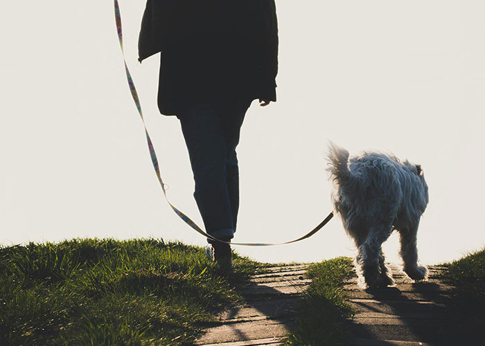 Person walking a dog on a grassy path during sunset, illustrating frugal outdoor exercise hacks.