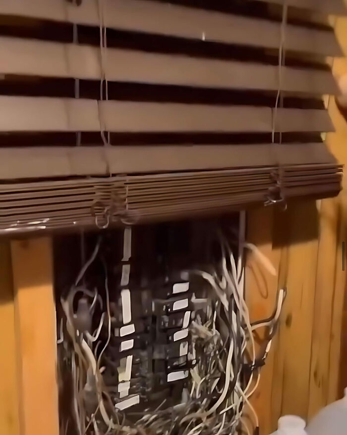 Tangled wiring behind window blinds showcasing a typical construction fail.