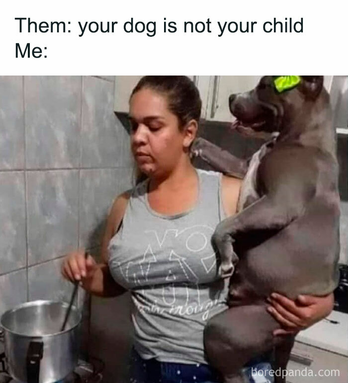 Woman holding a dog with a bow while cooking, illustrating a humorous dog meme.