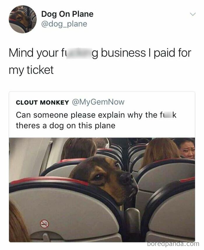 Dog meme showing a dog on a plane seat with a humorous caption questioning its presence.